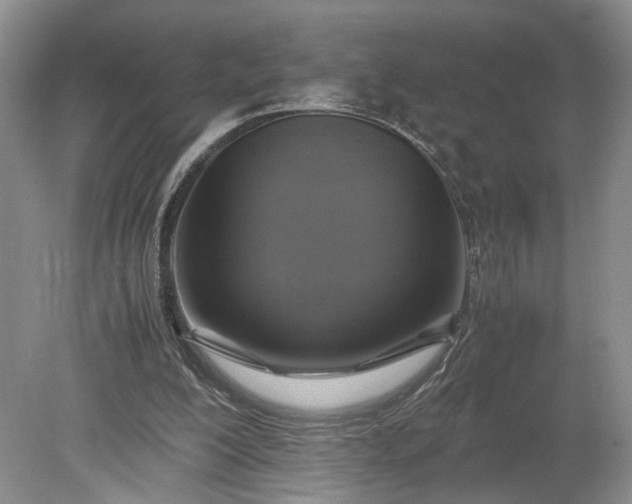 X0000079280200200612011707