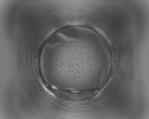 X0000079280201200612011707