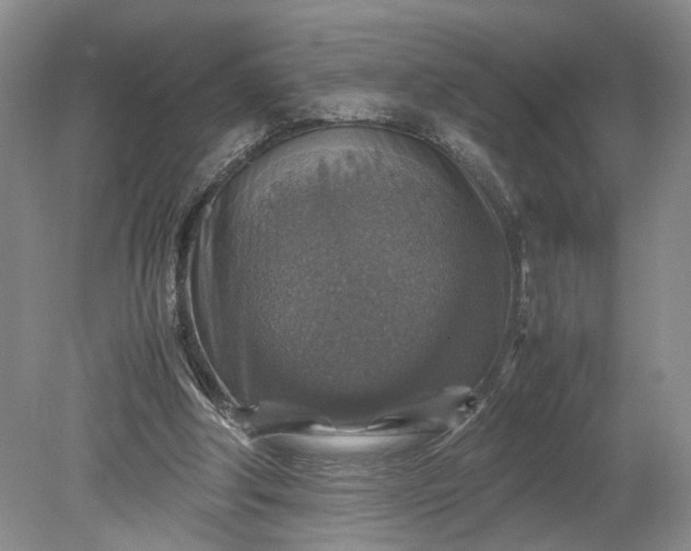 X0000079280202200612011707