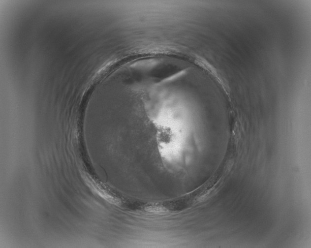 X0000079280203200612011707