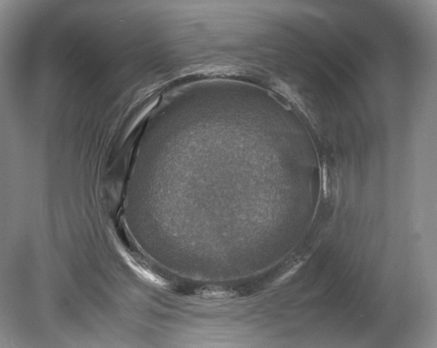 X0000079280205200612011707