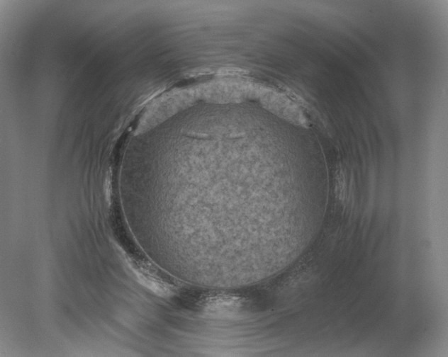 X0000079280206200612011707