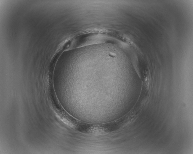 X0000079280207200612011707