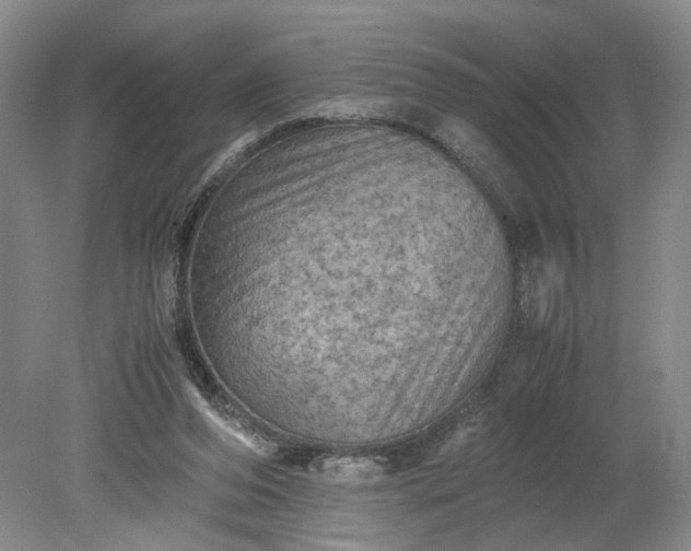 X0000079280208200612011707