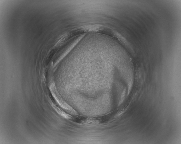 X0000079280209200612011706