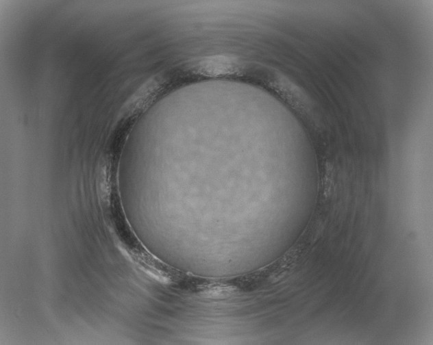 X0000079280210200612011706