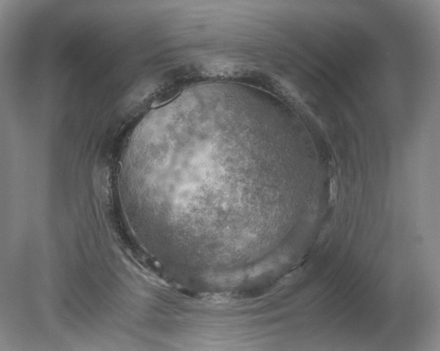 X0000079280211200612011706