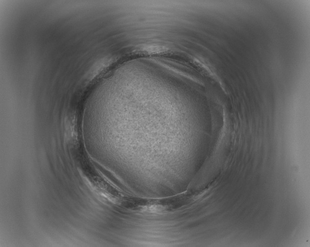 X0000079280212200612011706