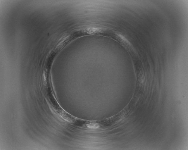 X0000079280214200612011706