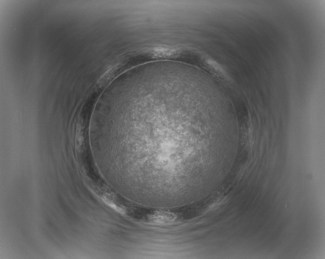 X0000079280215200612011706