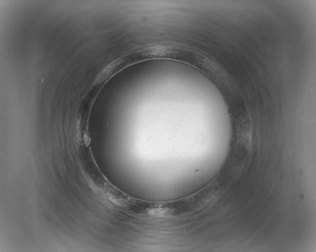 X0000079280216200612011706