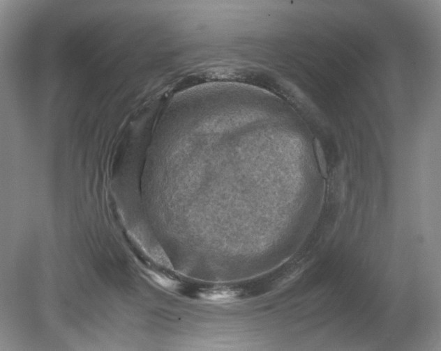 X0000079280217200612011706