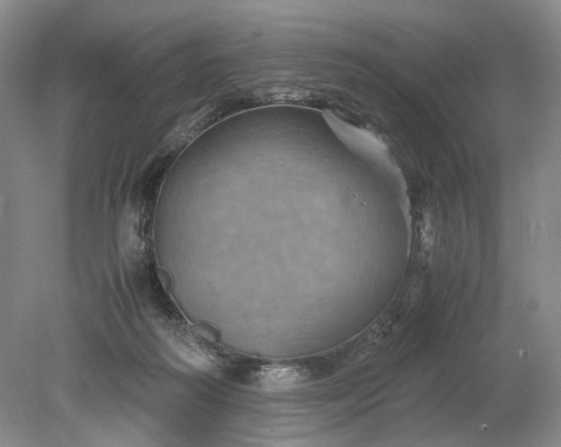 X0000079280218200612011706