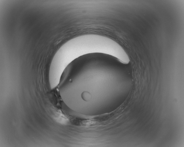 X0000079280219200612011706