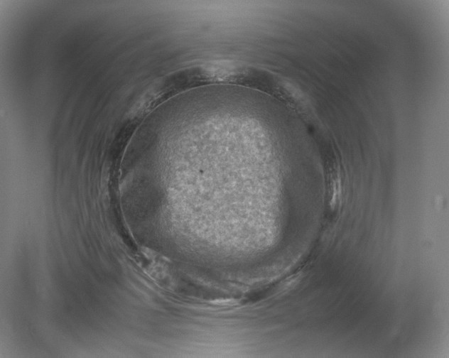 X0000079280221200612011706