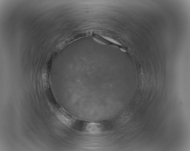 X0000079280222200612011706