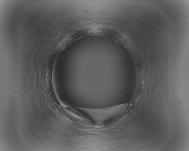 X0000079280223200612011706