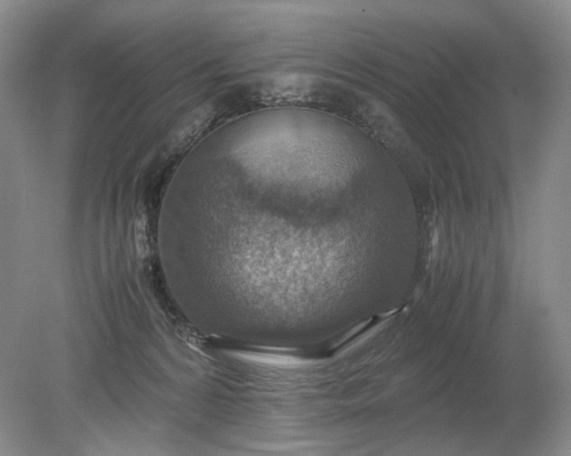 X0000079280224200612011706