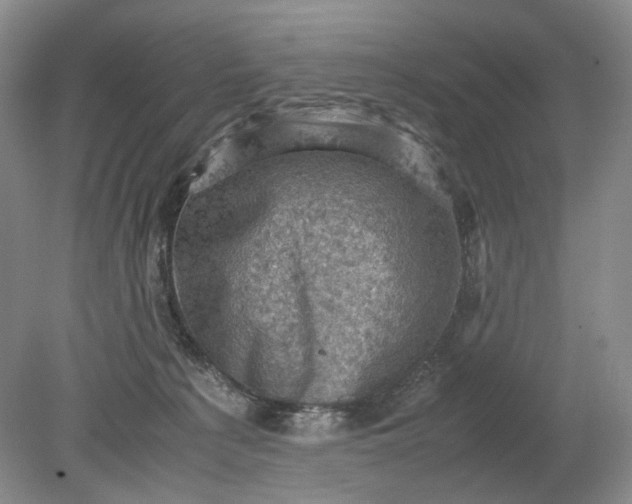 X0000079280225200612011706