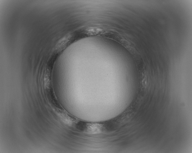 X0000079280226200612011706