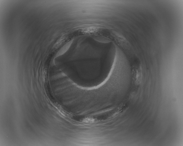 X0000079280227200612011706