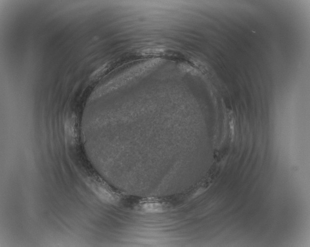 X0000079280228200612011706