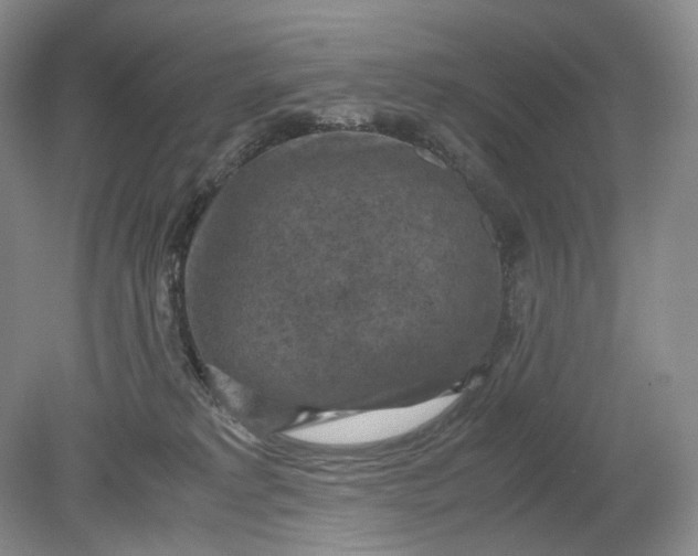 X0000079280229200612011706