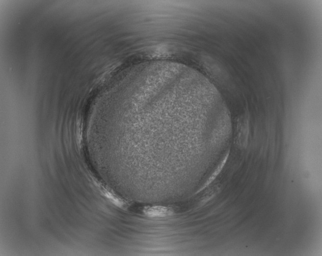 X0000079280230200612011706