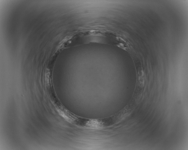 X0000079280231200612011706