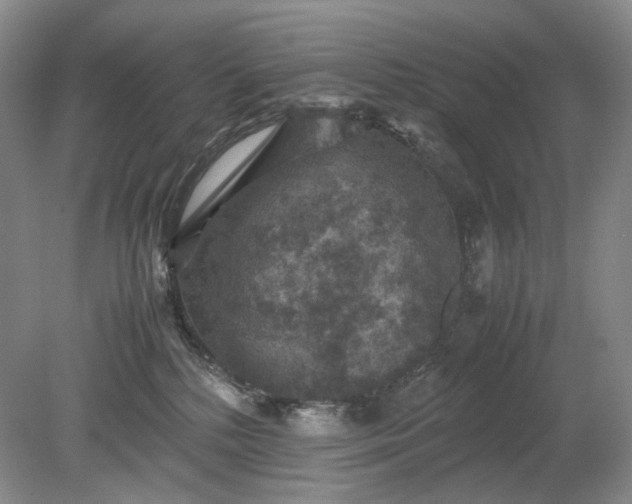 X0000079280232200612011706