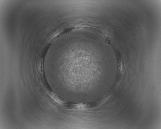 X0000079280233200612011706