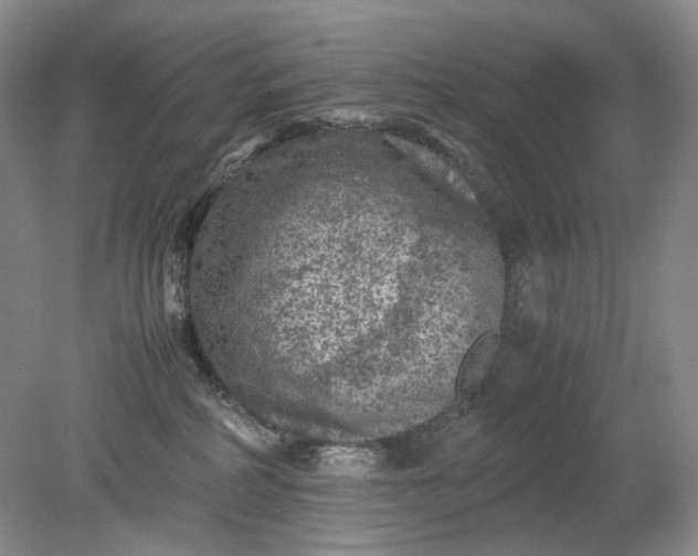 X0000079280234200612011706