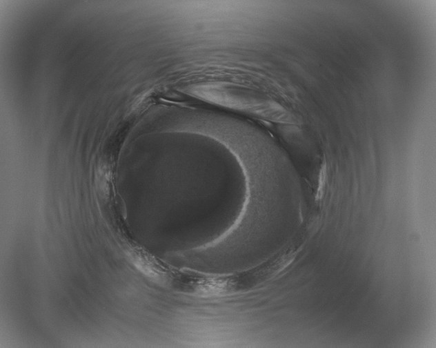 X0000079280235200612011706