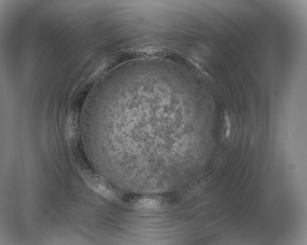 X0000079280236200612011706