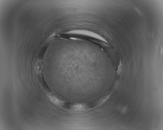 X0000079280237200612011706