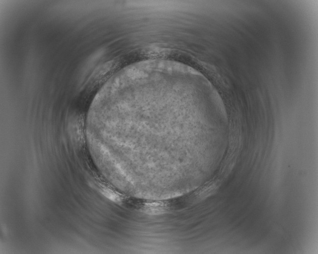 X0000079280240200612011706