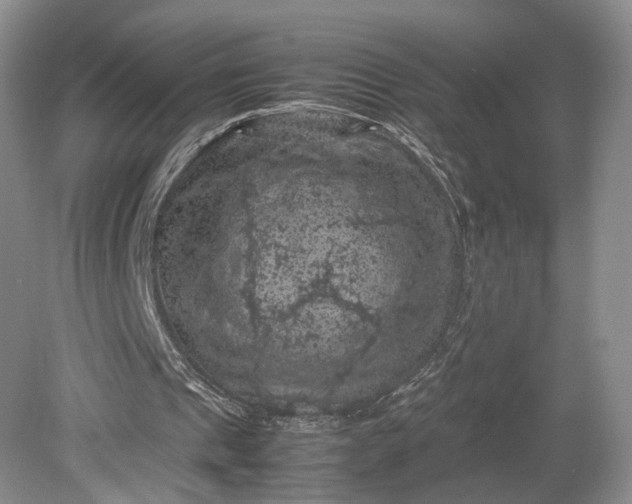 X0000079280241200612011705