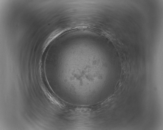 X0000079280242200612011705