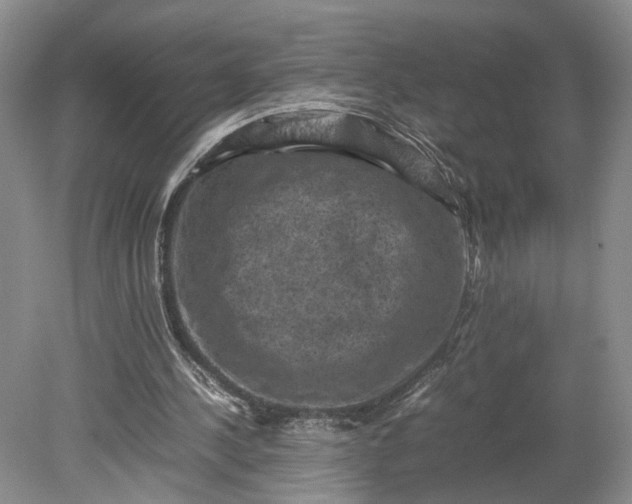 X0000079280244200612011705