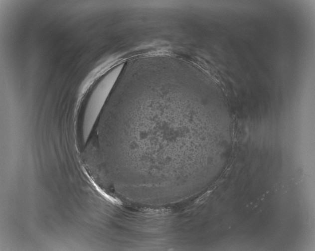 X0000079280245200612011705