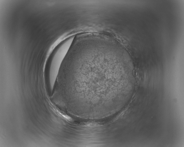 X0000079280246200612011705