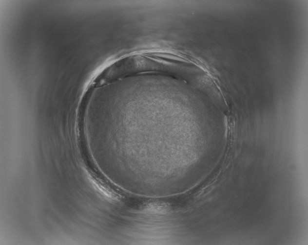 X0000079280248200612011705