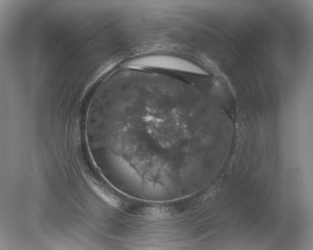 X0000079280250200612011705