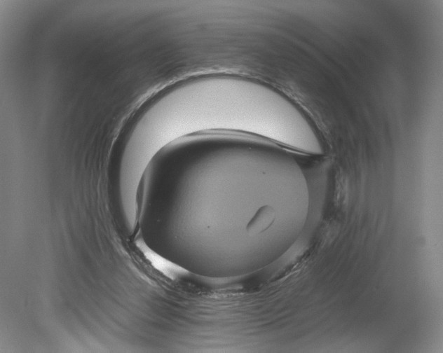 X0000079280252200612011705