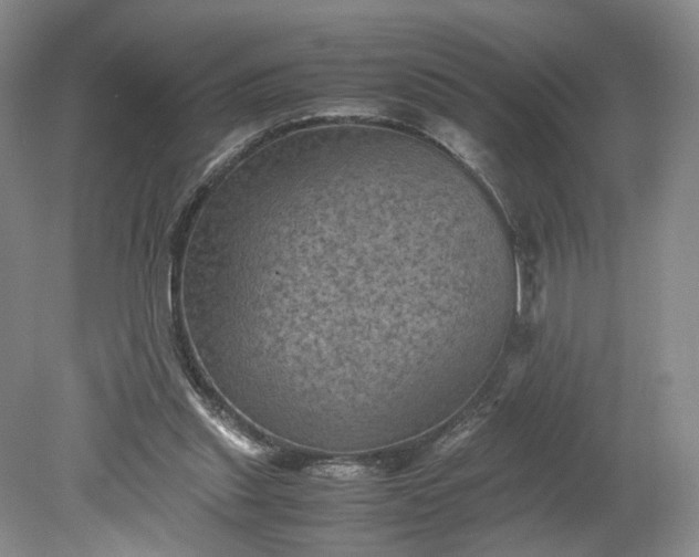 X0000079280253200612011705