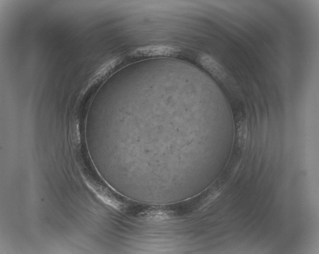 X0000079280254200612011705