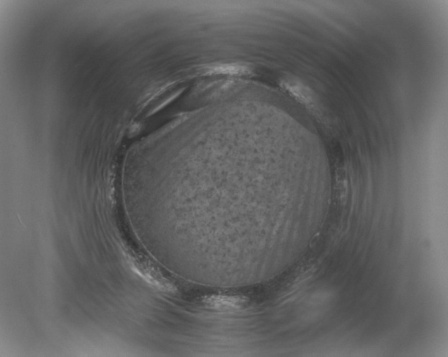 X0000079280255200612011705