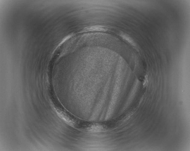 X0000079280256200612011705