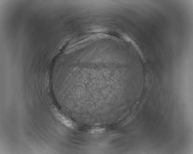 X0000079280257200612011705