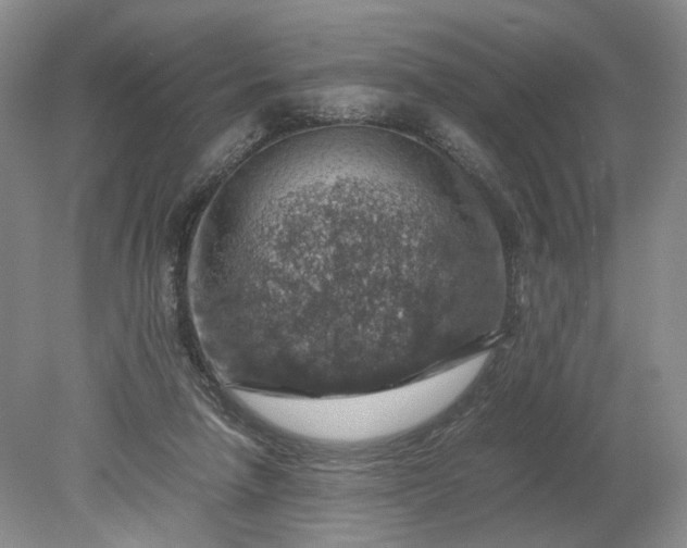 X0000079280258200612011705